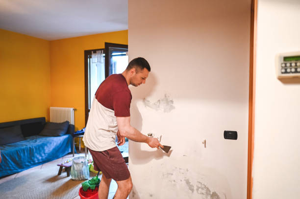 Best Mold Testing  in Washington, IL